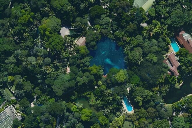 Image d'illustration. Image satellite d'un quartier résidentiel avec piscines.