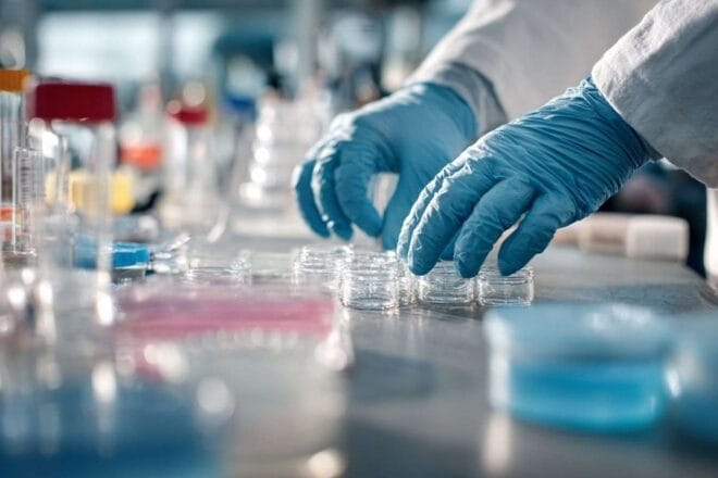 Mains gantées en préparation pour une analyse de laboratoire