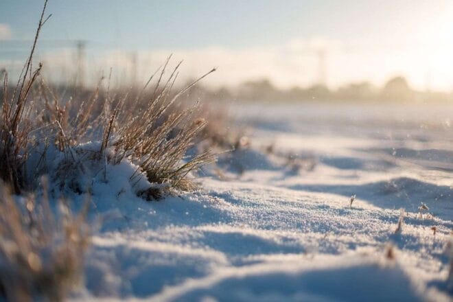 Paysage d hiver tranquille