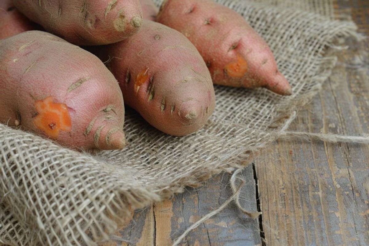 Gros plan de patates douces vives sur une table en bois rustique