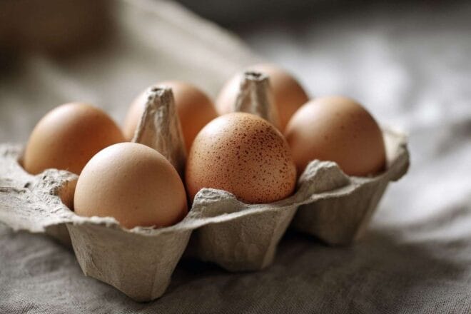 Untitled upload from alphonse