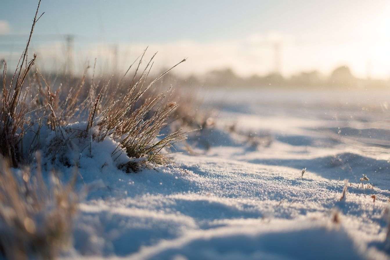 Paysage d hiver tranquille